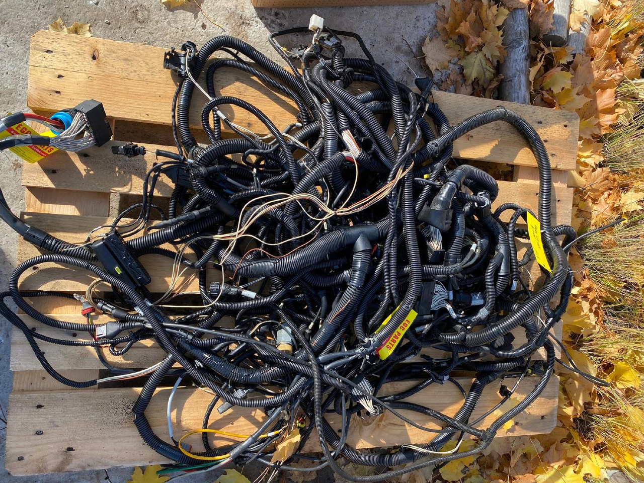 Case WX 165 - Kabel/ Kabelbaum für Baumaschine: das Bild 2 Case WX 165 - Kabel/ Kabelbaum für Baumaschine: das Bild 2