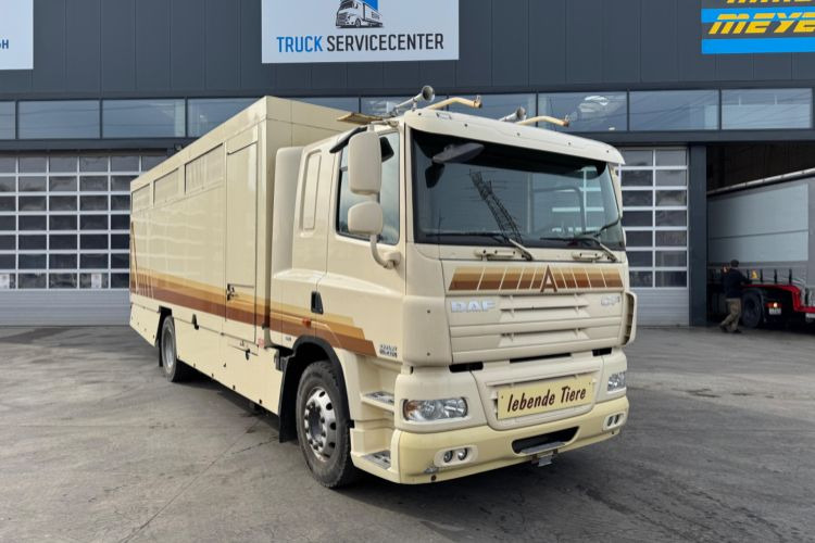 DAF CF410 4x2 - Pferdetransporter: das Bild 3 DAF CF410 4x2 - Pferdetransporter: das Bild 3