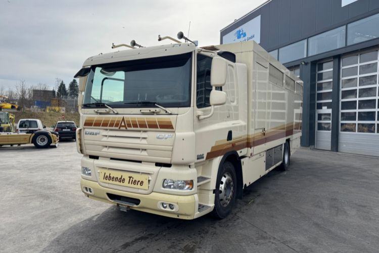 DAF CF410 4x2 - Pferdetransporter: das Bild 1 DAF CF410 4x2 - Pferdetransporter: das Bild 1
