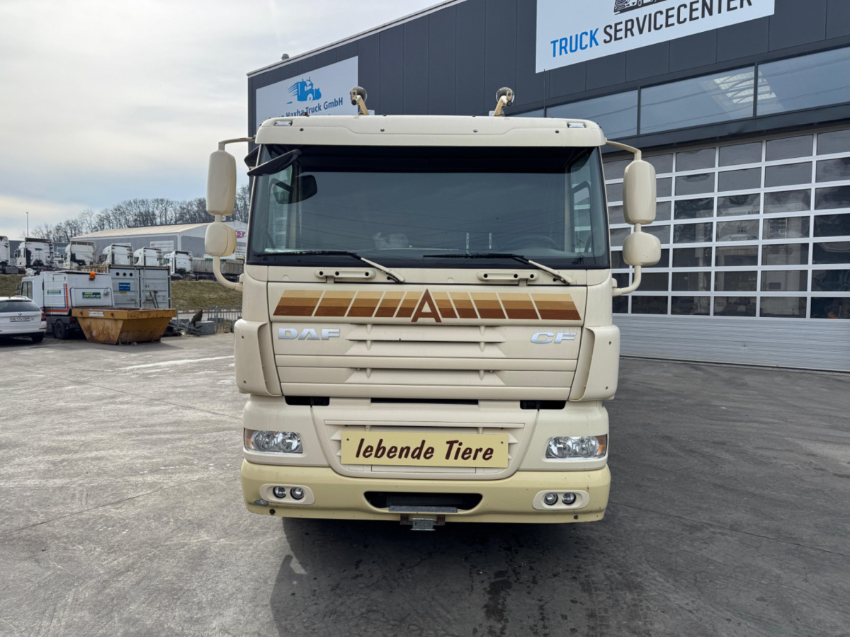 DAF CF410 4x2 - Tiertransporter LKW: das Bild 2 DAF CF410 4x2 - Tiertransporter LKW: das Bild 2