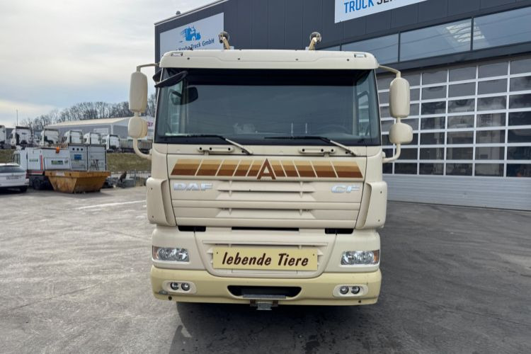 DAF CF410 4x2 - Pferdetransporter: das Bild 2 DAF CF410 4x2 - Pferdetransporter: das Bild 2
