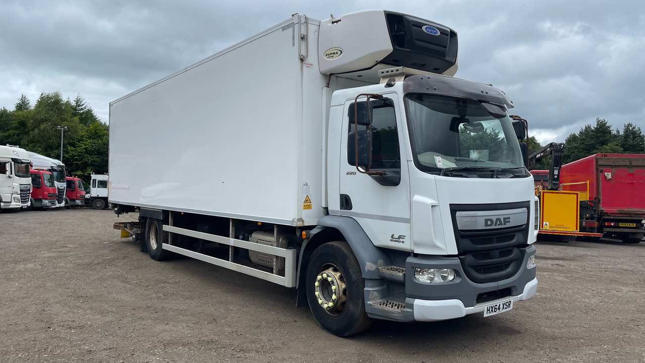 DAF LF 220 - Kühlkoffer LKW: das Bild 1 DAF LF 220 - Kühlkoffer LKW: das Bild 1