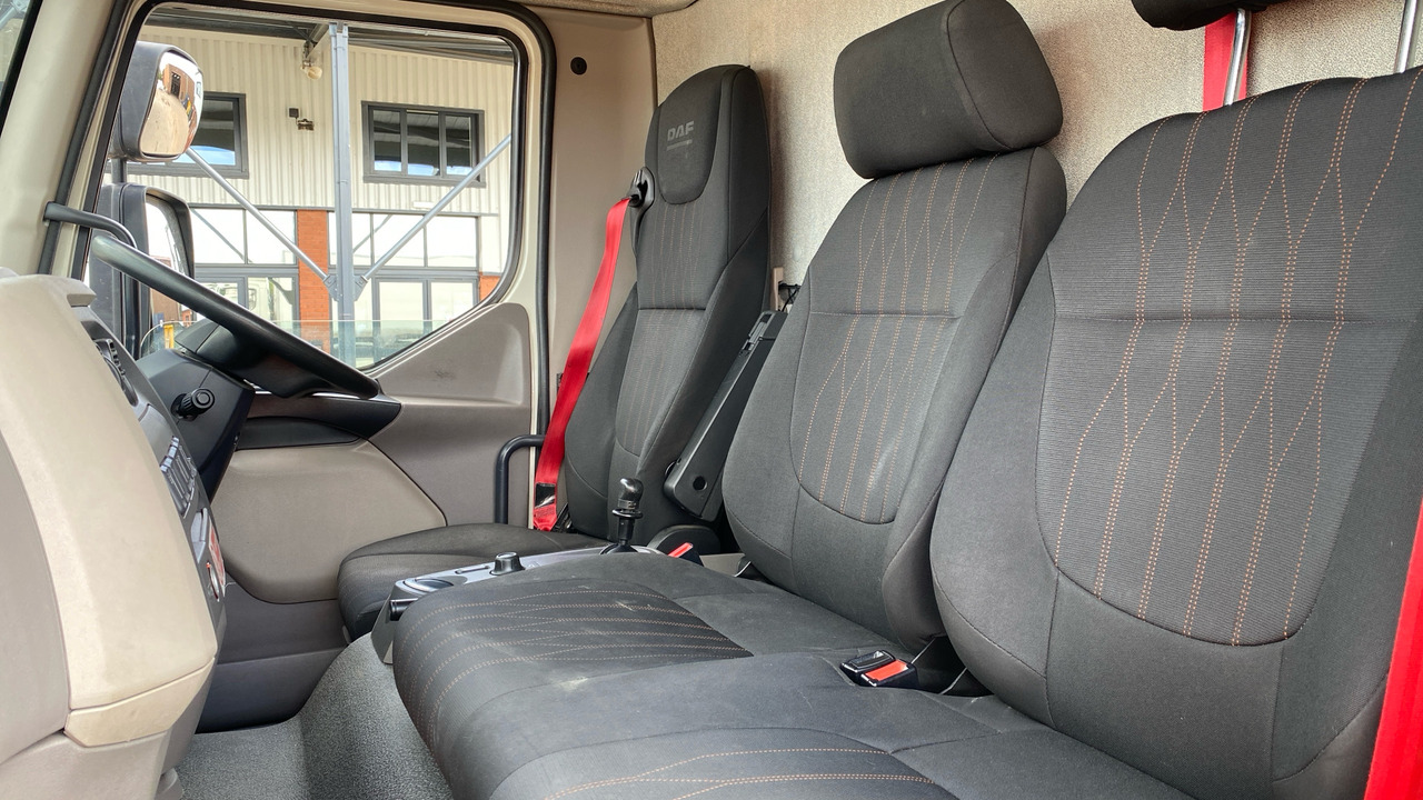 Koffer LKW DAF LF 260: das Bild 15