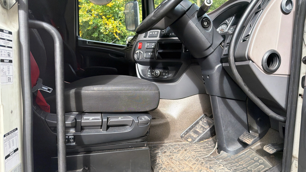 DAF XF 530 - Sattelzugmaschine: das Bild 5 DAF XF 530 - Sattelzugmaschine: das Bild 5