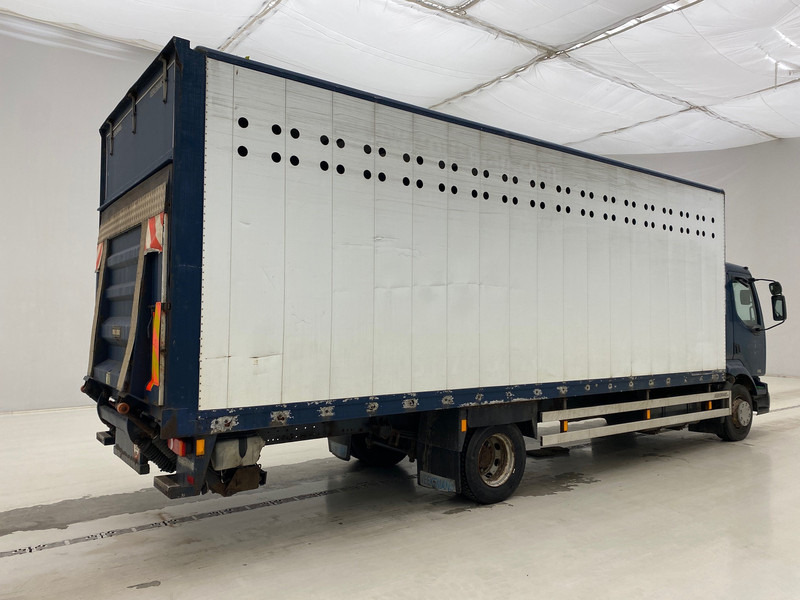 Renault Midlum 220 DCi - Koffer LKW: das Bild 4 Renault Midlum 220 DCi - Koffer LKW: das Bild 4