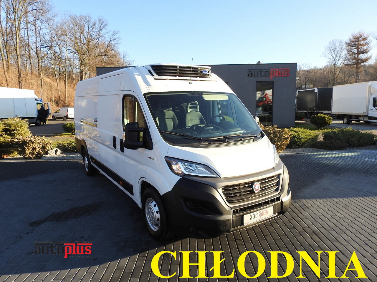 FIAT DUCATO REFRIGERATOR VAN -10*C POWER SUPPLY 230V AIR CONDITIONING 175HP - Kühltransporter: das Bild 1 FIAT DUCATO REFRIGERATOR VAN -10*C POWER SUPPLY 230V AIR CONDITIONING 175HP - Kühltransporter: das Bild 1
