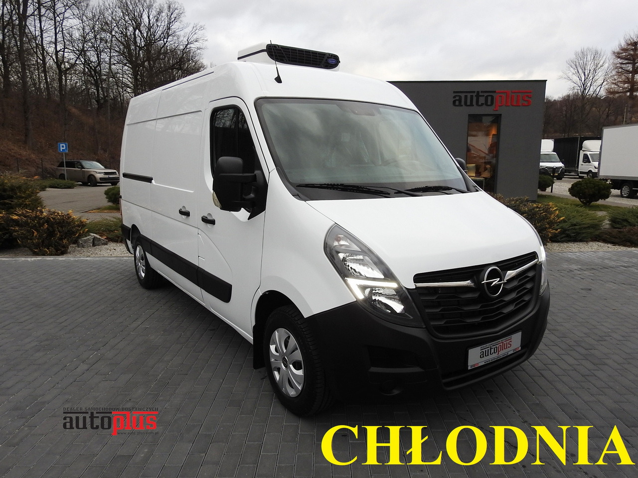 OPEL MOVANO REFRIGERATOR VAN 0*C CRUISE CONTROL NAVIGATION AIR CONDITIONING LED LIGHTS 150HP - Kühltransporter: das Bild 1 OPEL MOVANO REFRIGERATOR VAN 0*C CRUISE CONTROL NAVIGATION AIR CONDITIONING LED LIGHTS 150HP - Kühltransporter: das Bild 1