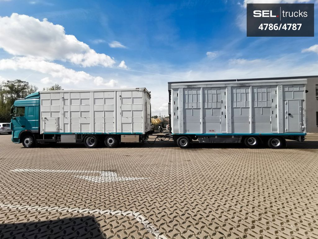 DAF XF 105.460 / Intarder / 4 Stock / KOMPLETT ! DAF XF 105.460 / Intarder / 4 Stock / KOMPLETT ! - Tiertransporter LKW: das Bild 1 DAF XF 105.460 / Intarder / 4 Stock / KOMPLETT ! DAF XF 105.460 / Intarder / 4 Stock / KOMPLETT ! - Tiertransporter LKW: das Bild 1