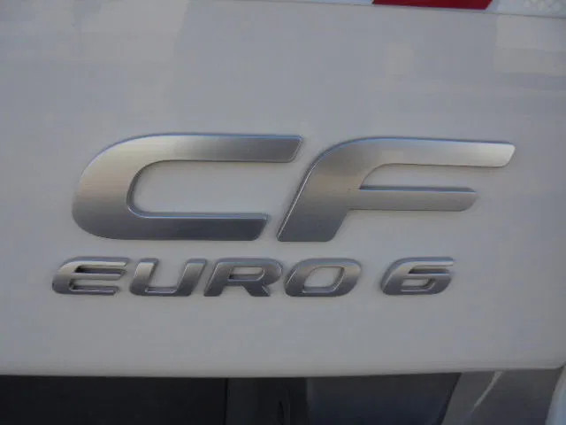 Müllwagen DAF CF 290 NL TRUCK: das Bild 18