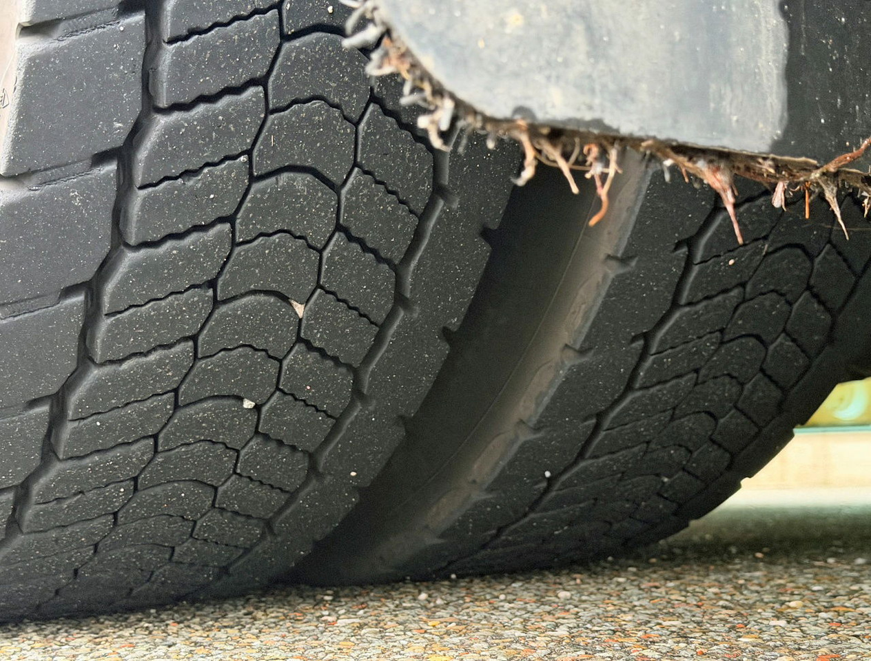 Kühlkoffer LKW DAF XF 480 FAR SSC Isolated BOX 810x250x275 CM Inside TRS Cooling Tail Lift TOP Condition NL-Truck: das Bild 21 Kühlkoffer LKW DAF XF 480 FAR SSC Isolated BOX 810x250x275 CM Inside TRS Cooling Tail Lift TOP Condition NL-Truck: das Bild 21