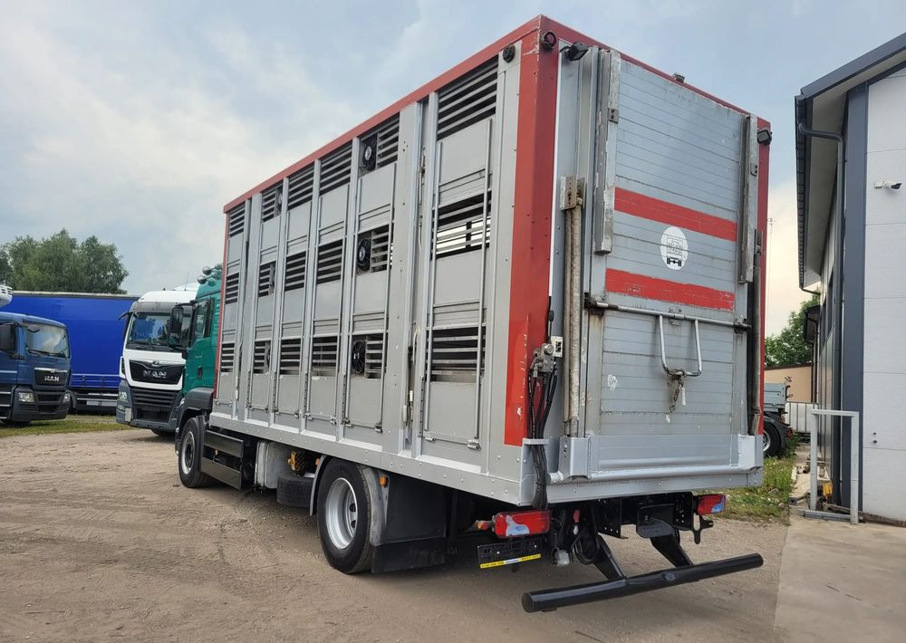 MAN TGS 18.400 Euro 6 do żywca - Tiertransporter LKW: das Bild 3 MAN TGS 18.400 Euro 6 do żywca - Tiertransporter LKW: das Bild 3