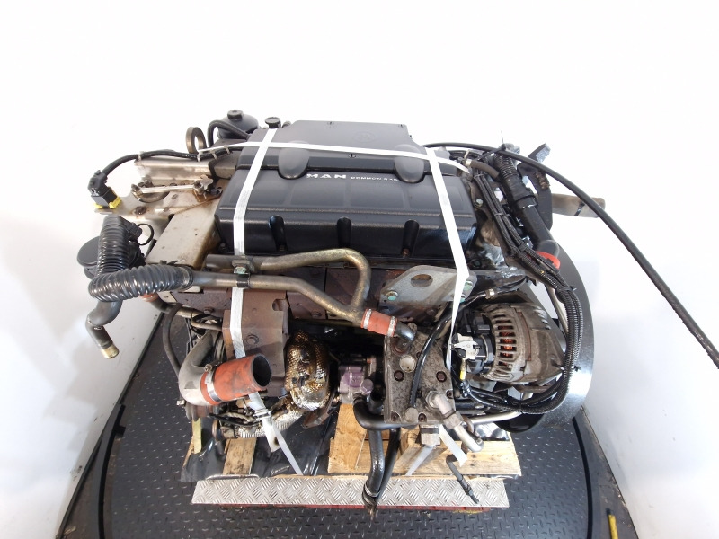 Motor für LKW MAN D0834 LFL67 Engine (Truck): das Bild 11