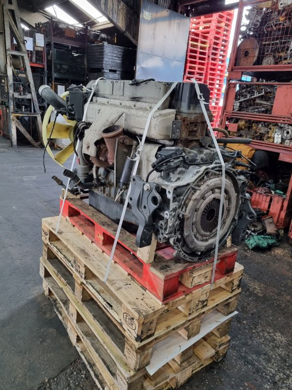 Motor für LKW Renault DXI7 260-EUV Engine (Truck): das Bild 9