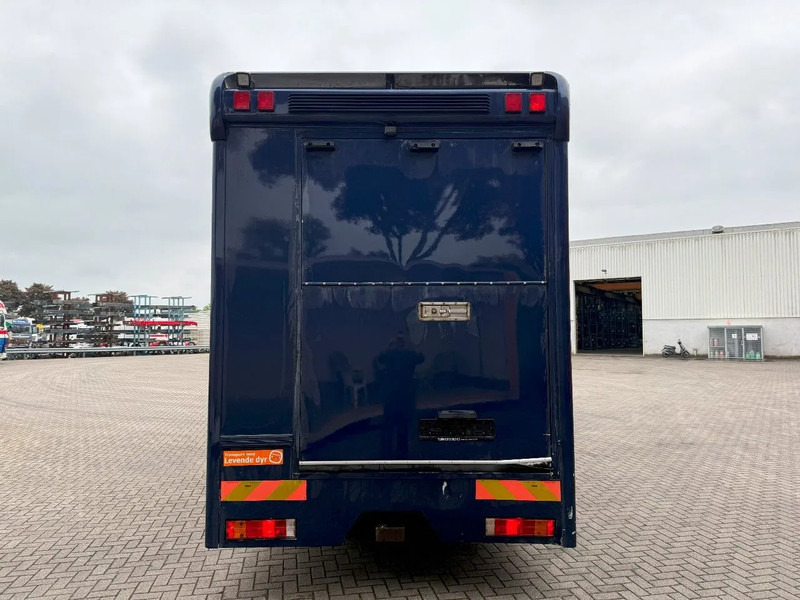 Mercedes-Benz Atego 1223 / ENGINE RUNNING / ONLY:159450 KM / HORSETRUCK / HEATED BOX / WATERTANK / LIVING ROOM / EURO-2 / MANUAL / 1998 - Pferdetransporter: das Bild 4 Mercedes-Benz Atego 1223 / ENGINE RUNNING / ONLY:159450 KM / HORSETRUCK / HEATED BOX / WATERTANK / LIVING ROOM / EURO-2 / MANUAL / 1998 - Pferdetransporter: das Bild 4