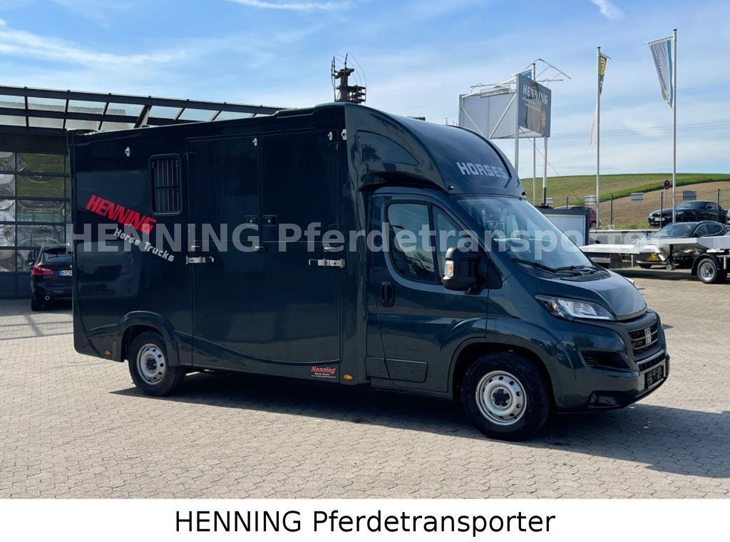 Fiat Ducato 3 - Sitzer *VORFÜHRUNGSFAHRZEUG* - Pferdetransporter: das Bild 3 Fiat Ducato 3 - Sitzer *VORFÜHRUNGSFAHRZEUG* - Pferdetransporter: das Bild 3