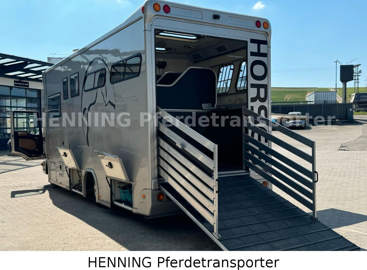 MAN TGL PFERDETRANSPORTER RJH - Tiertransporter LKW: das Bild 5 MAN TGL PFERDETRANSPORTER RJH - Tiertransporter LKW: das Bild 5