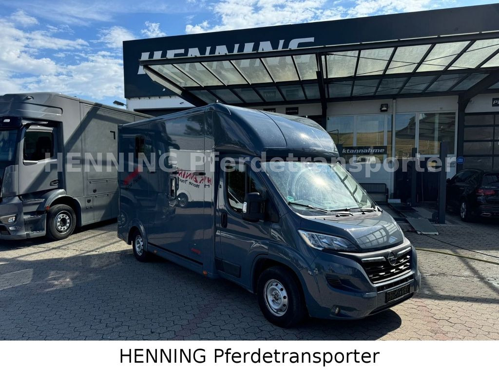 Opel Movano 3 - Sitzer *AUFBAU NEU* Opel Movano 3 - Sitzer *AUFBAU NEU* - Pferdetransporter: das Bild 1 Opel Movano 3 - Sitzer *AUFBAU NEU* Opel Movano 3 - Sitzer *AUFBAU NEU* - Pferdetransporter: das Bild 1