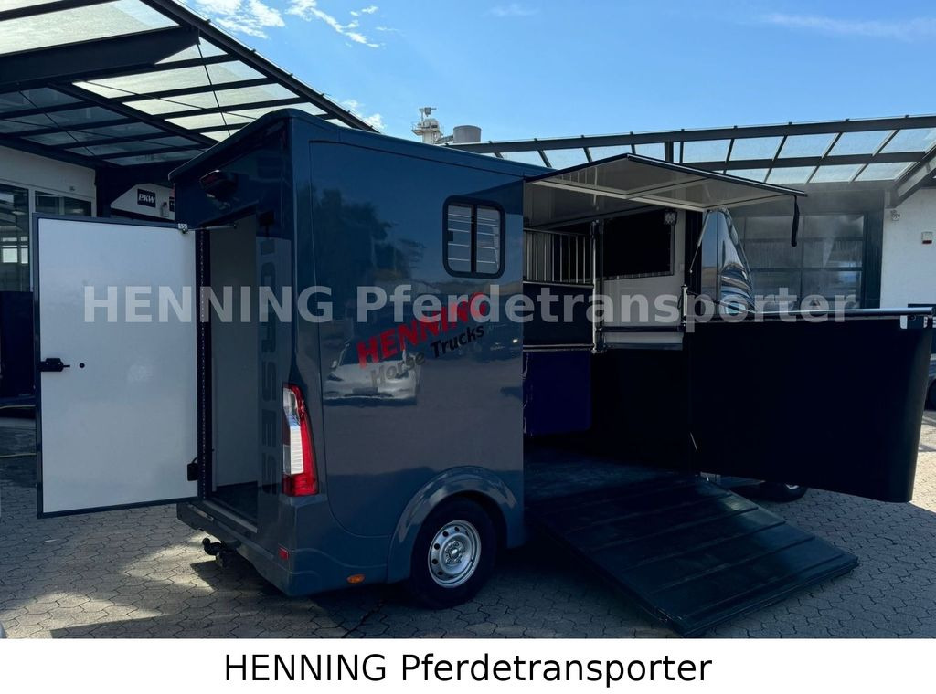 Opel Movano 3 - Sitzer *AUFBAU NEU* Opel Movano 3 - Sitzer *AUFBAU NEU* - Pferdetransporter: das Bild 3 Opel Movano 3 - Sitzer *AUFBAU NEU* Opel Movano 3 - Sitzer *AUFBAU NEU* - Pferdetransporter: das Bild 3