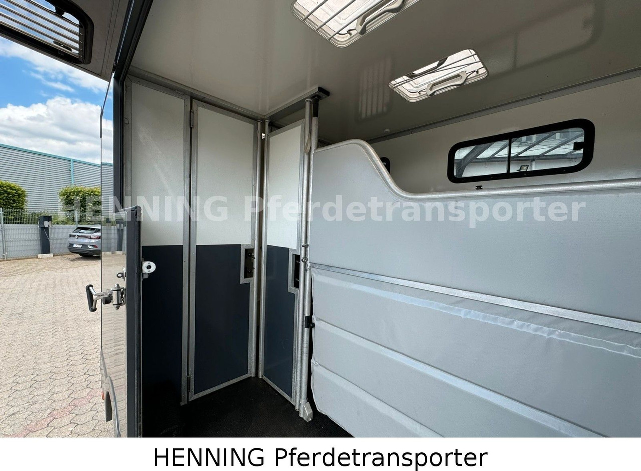 Renault 3-Sitzer - Pferdetransporter, Transporter: das Bild 5 Renault 3-Sitzer - Pferdetransporter, Transporter: das Bild 5