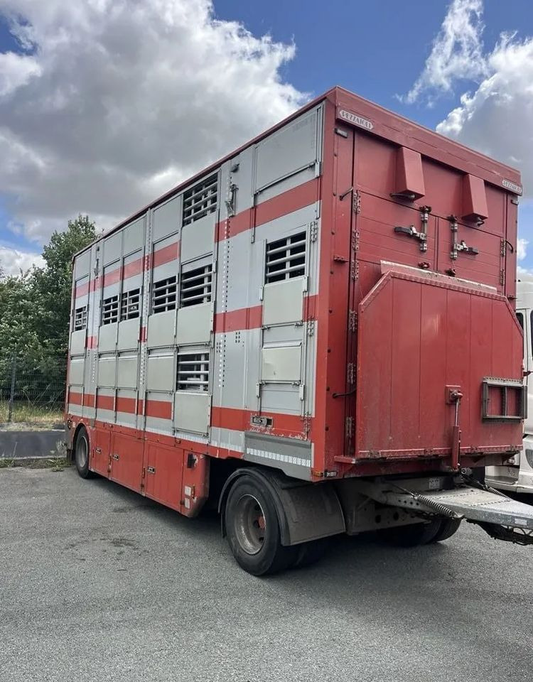 DAF XF 460 + Przyczepa Pezzaoli - 3X Trzoda, 2 X Bydło I 3 poziomy I Podnoszony dach I Hydroburta I Osie Skrętne I Poidła I Wentylatory I Pilot Manualny | Euro5 - Tiertransporter LKW: das Bild 3 DAF XF 460 + Przyczepa Pezzaoli - 3X Trzoda, 2 X Bydło I 3 poziomy I Podnoszony dach I Hydroburta I Osie Skrętne I Poidła I Wentylatory I Pilot Manualny | Euro5 - Tiertransporter LKW: das Bild 3