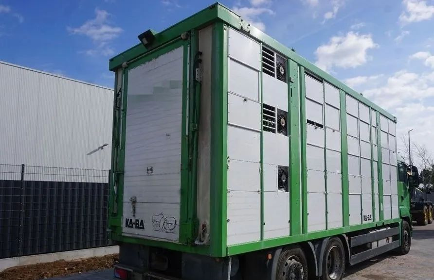 MAN TGS 26.440 ZABUDOWA KABA CAŁA ALUMINIOWA– samochód do transportu zwierząt/koni – 3 pokłady / EURO 5/6X2/PODNOSZONY DACH - Tiertransporter LKW: das Bild 2 MAN TGS 26.440 ZABUDOWA KABA CAŁA ALUMINIOWA– samochód do transportu zwierząt/koni – 3 pokłady / EURO 5/6X2/PODNOSZONY DACH - Tiertransporter LKW: das Bild 2