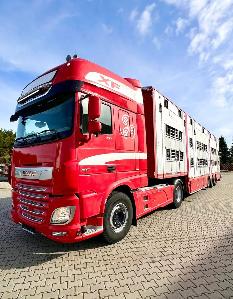 Pezzaioli NACZEPA 2017 / 3 POZIOMY / TRANSPORT ZWIERZĄT / HYDRAULIKA / STEROWANIE PILOTEM/ PODNOSZONY DACH / - Tiertransporter Auflieger: das Bild 5 Pezzaioli NACZEPA 2017 / 3 POZIOMY / TRANSPORT ZWIERZĄT / HYDRAULIKA / STEROWANIE PILOTEM/ PODNOSZONY DACH / - Tiertransporter Auflieger: das Bild 5