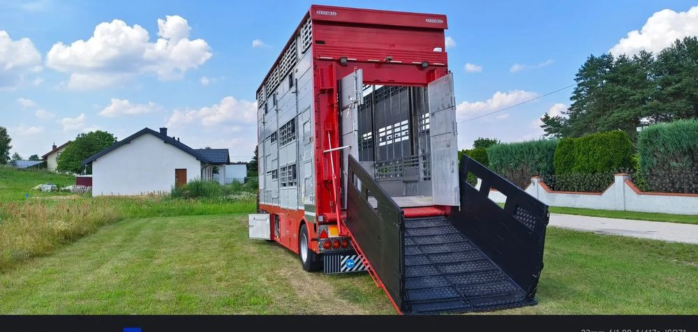 Pezzaioli RBA22 Dwuosiowa Przyczepa – 2x Bydło, 3x Trzoda – 2017r – Bezwypadkowa! - Tiertransporter Anhänger: das Bild 1 Pezzaioli RBA22 Dwuosiowa Przyczepa – 2x Bydło, 3x Trzoda – 2017r – Bezwypadkowa! - Tiertransporter Anhänger: das Bild 1