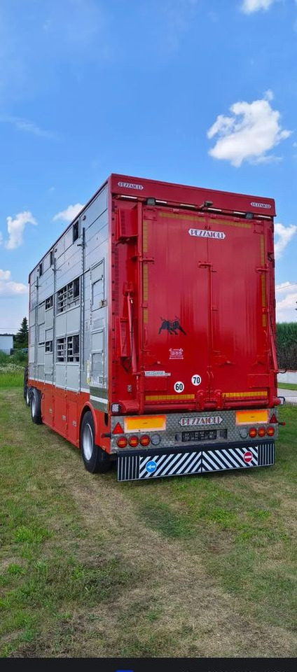 Pezzaioli RBA22 Dwuosiowa Przyczepa – 2x Bydło, 3x Trzoda – 2017r – Bezwypadkowa! - Tiertransporter Anhänger: das Bild 4 Pezzaioli RBA22 Dwuosiowa Przyczepa – 2x Bydło, 3x Trzoda – 2017r – Bezwypadkowa! - Tiertransporter Anhänger: das Bild 4