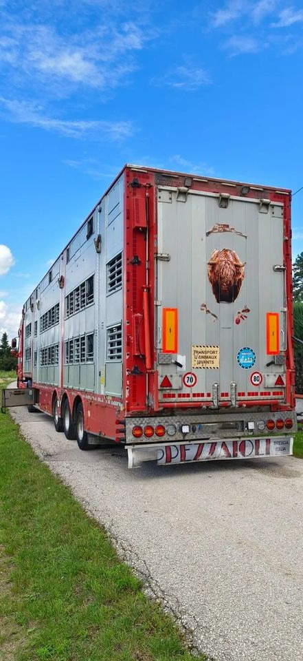Pezzaioli SBA32/hydrauliczny dach/hydrauliczna rampa/ 3 poziomy/ 2xbydło -3xtrzoda/wentylatory/poidła/sterowanie pilotem - Tiertransporter Auflieger: das Bild 5 Pezzaioli SBA32/hydrauliczny dach/hydrauliczna rampa/ 3 poziomy/ 2xbydło -3xtrzoda/wentylatory/poidła/sterowanie pilotem - Tiertransporter Auflieger: das Bild 5