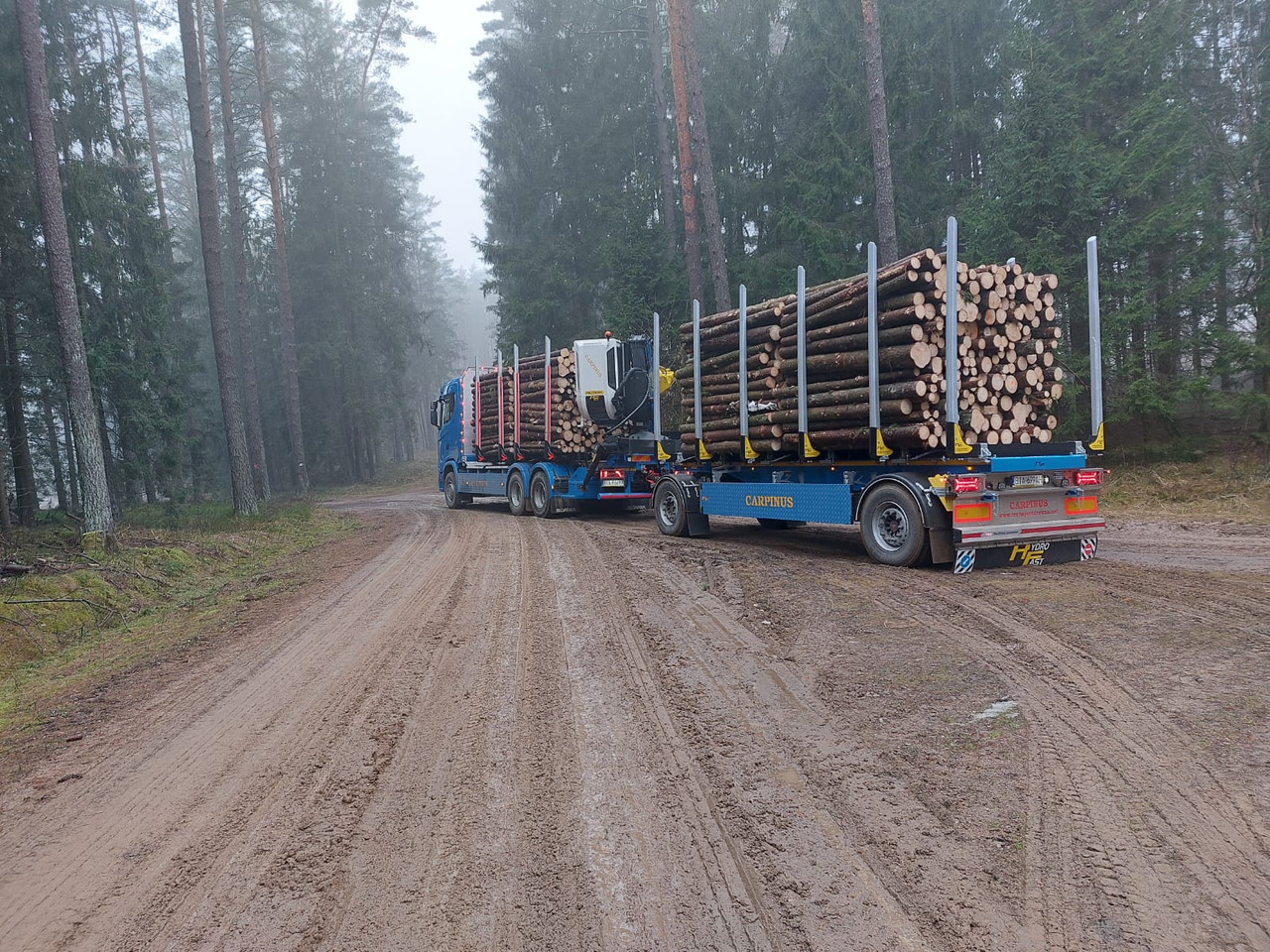 Hydrofast Przyczepa 2 osiowa do drewna stosowego HFP2/2-axle timber trailer HFP2 - Holzanhänger: das Bild 3 Hydrofast Przyczepa 2 osiowa do drewna stosowego HFP2/2-axle timber trailer HFP2 - Holzanhänger: das Bild 3