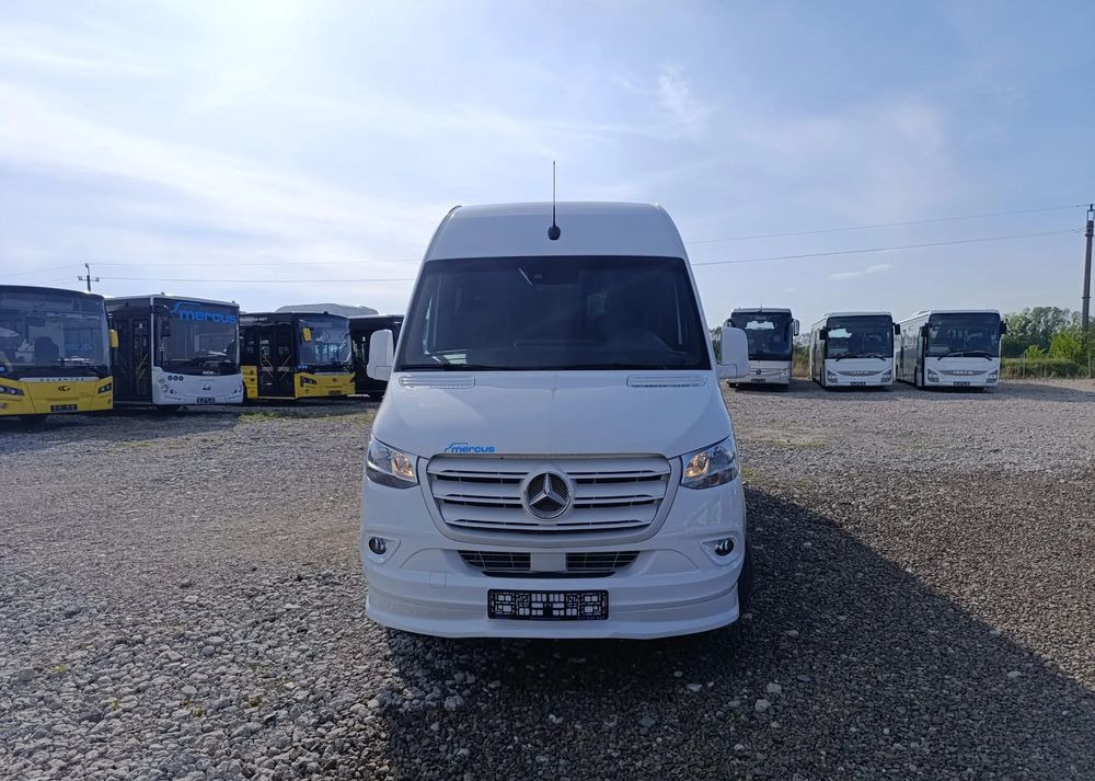 Kleinbus, Personentransporter Mercedes-Benz Sprinter 517: das Bild 13
