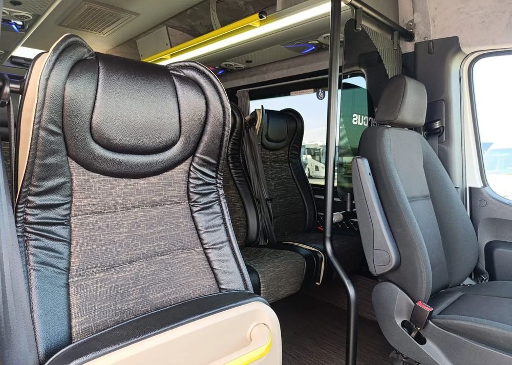 Kleinbus, Personentransporter Mercedes-Benz Sprinter 517: das Bild 15