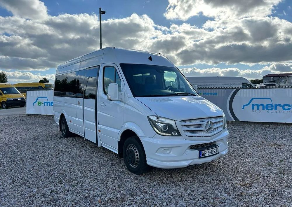 Kleinbus, Personentransporter Mercedes-Benz Sprinter 519: das Bild 7