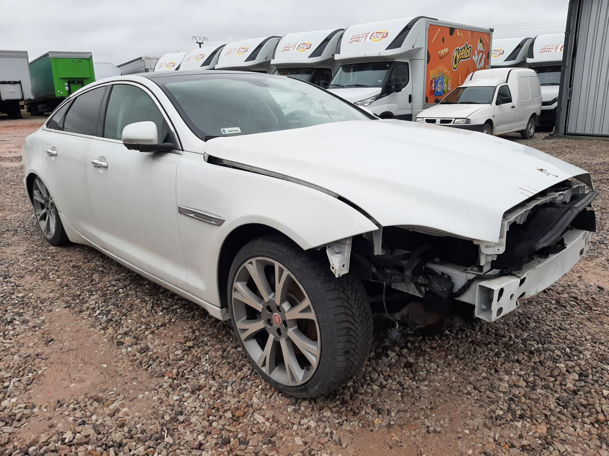 JAGUAR XJ SEDAN - PKW: das Bild 1 JAGUAR XJ SEDAN - PKW: das Bild 1