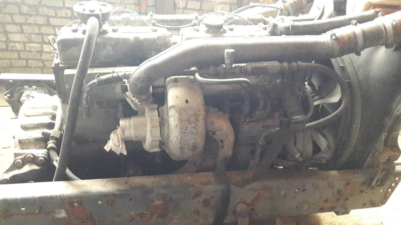 DAF WS 268 G DAF 95, 85 - Motor für LKW: das Bild 2 DAF WS 268 G DAF 95, 85 - Motor für LKW: das Bild 2