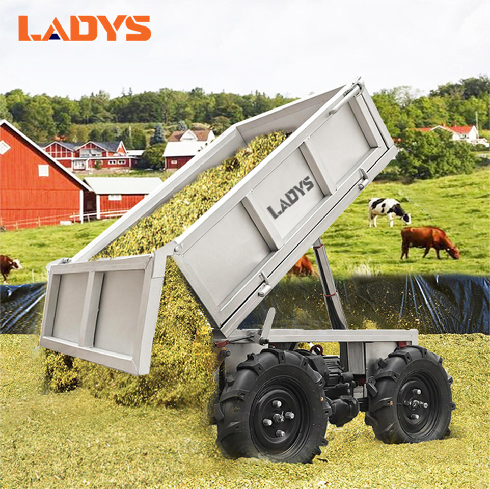LADYS D-600 All-Terrain Four-Wheel Drive And Eight-Wheel Drive Transport Truck, Mountain Area Farm Orchard Greenhouse Construction Site Creeper Remote Control Electric Agricultural Transport Vehicle - Quad: das Bild 3 LADYS D-600 All-Terrain Four-Wheel Drive And Eight-Wheel Drive Transport Truck, Mountain Area Farm Orchard Greenhouse Construction Site Creeper Remote Control Electric Agricultural Transport Vehicle - Quad: das Bild 3