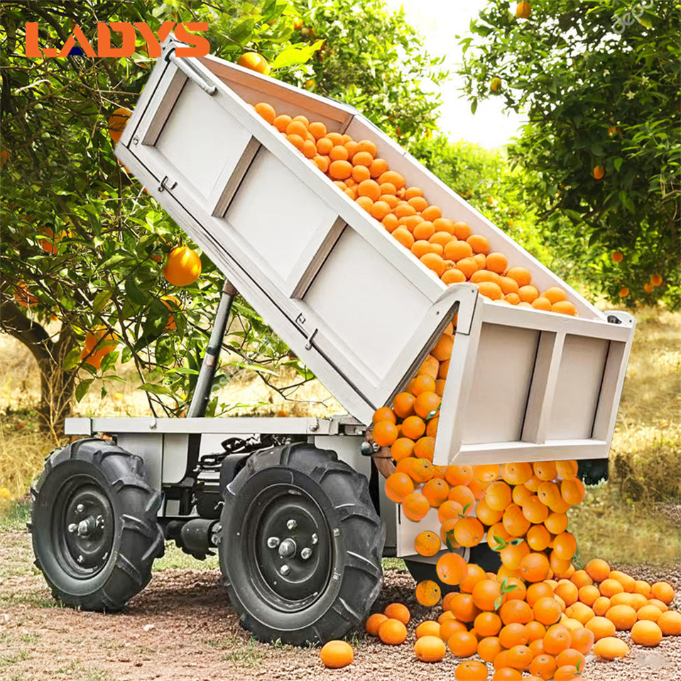 LADYS D-600 All-Terrain Four-Wheel Drive And Eight-Wheel Drive Transport Truck, Mountain Area Farm Orchard Greenhouse Construction Site Creeper Remote Control Electric Agricultural Transport Vehicle - Quad: das Bild 1 LADYS D-600 All-Terrain Four-Wheel Drive And Eight-Wheel Drive Transport Truck, Mountain Area Farm Orchard Greenhouse Construction Site Creeper Remote Control Electric Agricultural Transport Vehicle - Quad: das Bild 1