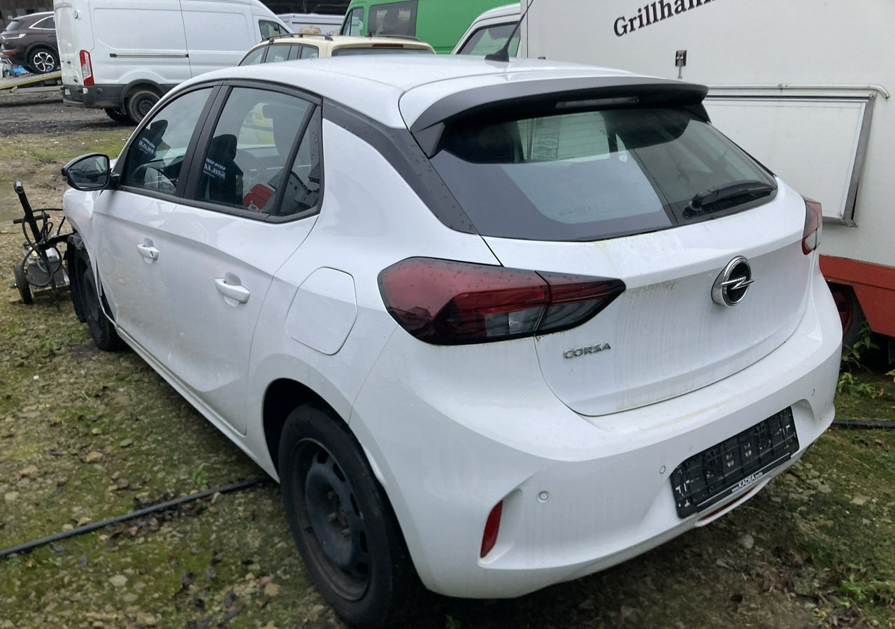 Opel Corsa F Opel Corsa F 1.5-102KM Klima Navi 2021 - Schrägheck: das Bild 3 Opel Corsa F Opel Corsa F 1.5-102KM Klima Navi 2021 - Schrägheck: das Bild 3