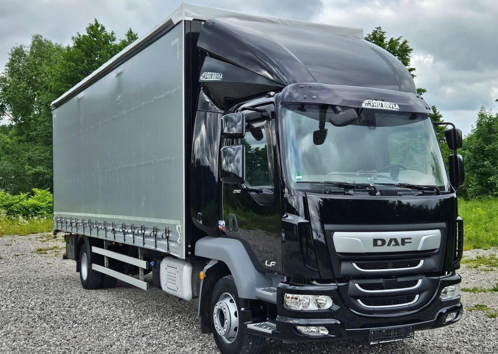 DAF LF 290 / WINDA / 16TON DMC / FIRANKA / AUTOMAT / JEDEN WŁAŚCICIE / EURO 6 / 2019 / SPROWADZONY / 20PALET / NISKI PRZEBIEG / DUŻA ŁADOWNOŚĆ / JAK NOWY - Plane LKW: das Bild 3 DAF LF 290 / WINDA / 16TON DMC / FIRANKA / AUTOMAT / JEDEN WŁAŚCICIE / EURO 6 / 2019 / SPROWADZONY / 20PALET / NISKI PRZEBIEG / DUŻA ŁADOWNOŚĆ / JAK NOWY - Plane LKW: das Bild 3