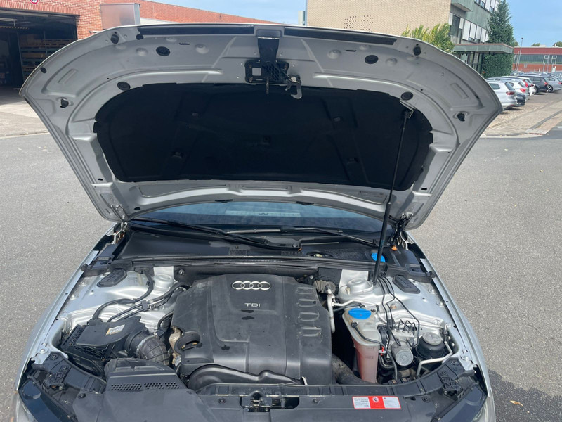 PKW Audi A4: das Bild 14