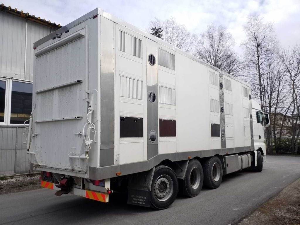MAN TGX 35.540 8X4 TRIDEM ANIMAL - Tiertransporter LKW: das Bild 3 MAN TGX 35.540 8X4 TRIDEM ANIMAL - Tiertransporter LKW: das Bild 3