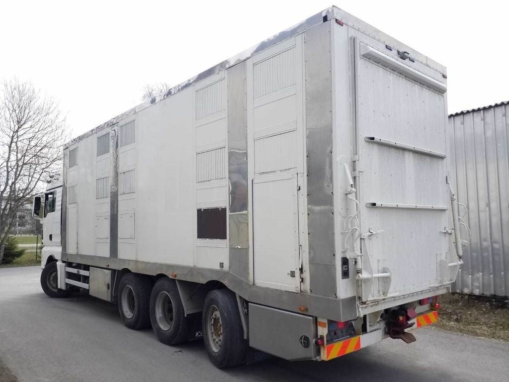 MAN TGX 35.540 8X4 TRIDEM ANIMAL - Tiertransporter LKW: das Bild 2 MAN TGX 35.540 8X4 TRIDEM ANIMAL - Tiertransporter LKW: das Bild 2