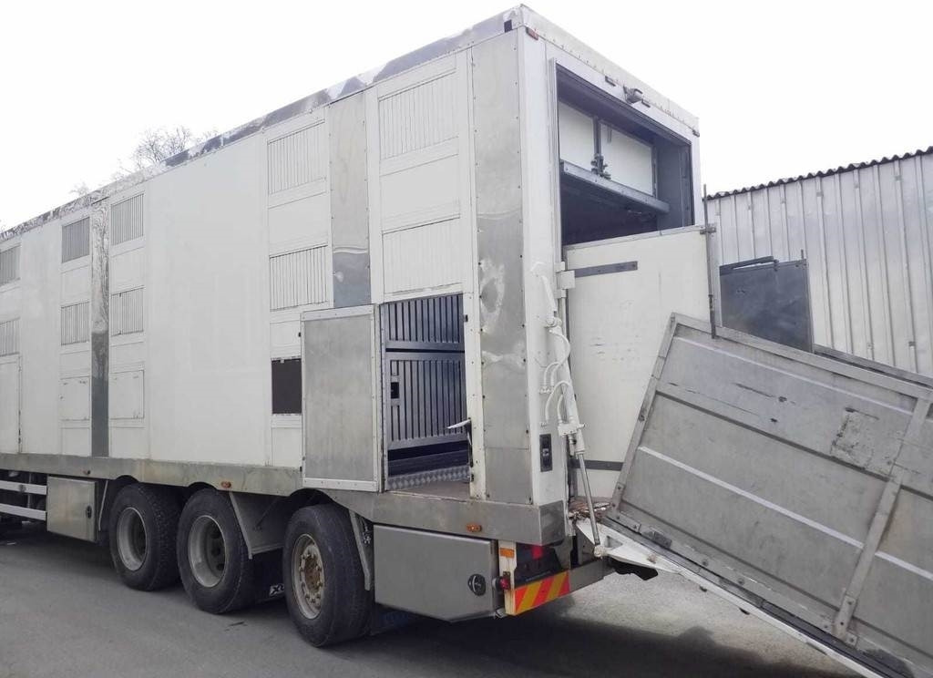 MAN TGX 35.540 8X4 TRIDEM ANIMAL - Tiertransporter LKW: das Bild 5 MAN TGX 35.540 8X4 TRIDEM ANIMAL - Tiertransporter LKW: das Bild 5