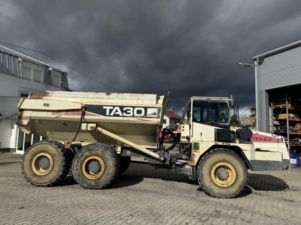 Leasing für Terex TA 30  Terex TA 30: das Bild 6