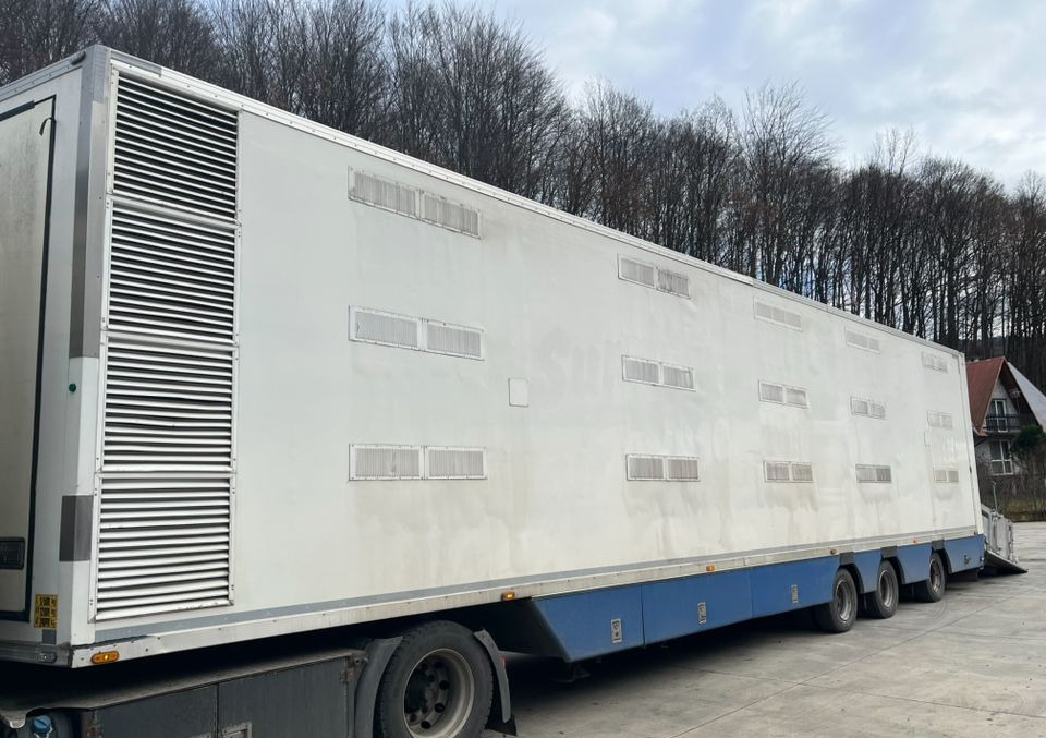 Pezzaioli HMK Industri // Do przewozu zwierząt // 2004 Rok // 3 Pokłady // Waga // Osi skrętne // Oznonacja // - Tiertransporter Auflieger: das Bild 2 Pezzaioli HMK Industri // Do przewozu zwierząt // 2004 Rok // 3 Pokłady // Waga // Osi skrętne // Oznonacja // - Tiertransporter Auflieger: das Bild 2