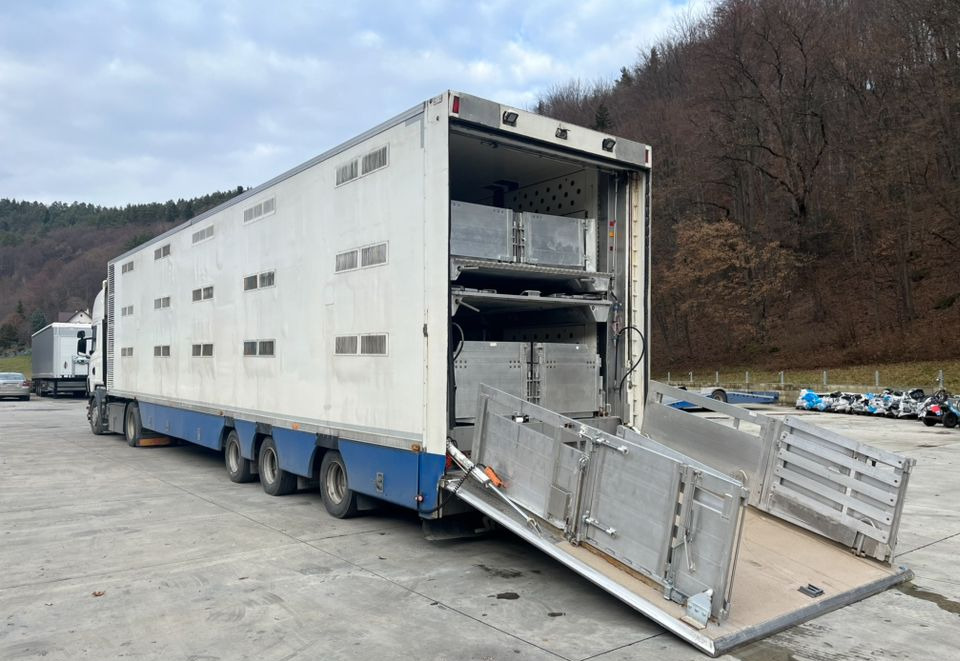 Pezzaioli HMK Industri // Do przewozu zwierząt // 2004 Rok // 3 Pokłady // Waga // Osi skrętne // Oznonacja // - Tiertransporter Auflieger: das Bild 1 Pezzaioli HMK Industri // Do przewozu zwierząt // 2004 Rok // 3 Pokłady // Waga // Osi skrętne // Oznonacja // - Tiertransporter Auflieger: das Bild 1