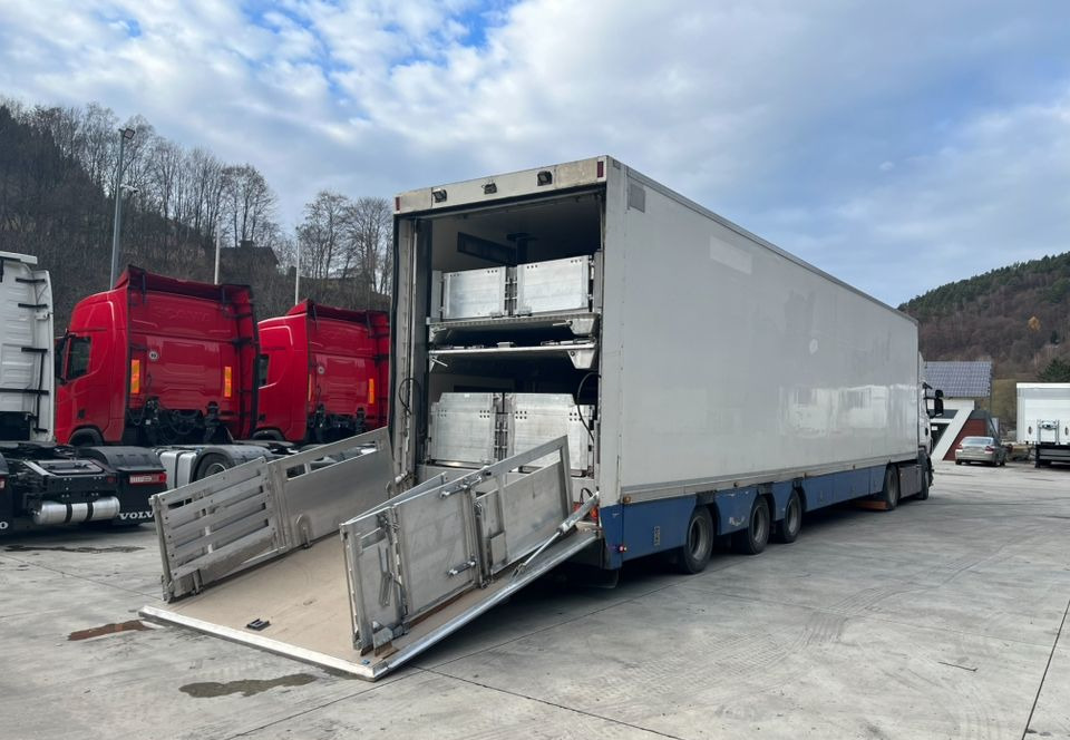 Pezzaioli HMK Industri // Do przewozu zwierząt // 2004 Rok // 3 Pokłady // Waga // Osi skrętne // Oznonacja // - Tiertransporter Auflieger: das Bild 3 Pezzaioli HMK Industri // Do przewozu zwierząt // 2004 Rok // 3 Pokłady // Waga // Osi skrętne // Oznonacja // - Tiertransporter Auflieger: das Bild 3