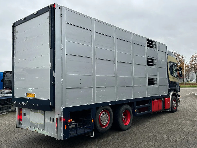 Scania R420 6x2 Topline / 3 Stock Animal Transport / Retarder / Euro 5 - Tiertransporter LKW: das Bild 3 Scania R420 6x2 Topline / 3 Stock Animal Transport / Retarder / Euro 5 - Tiertransporter LKW: das Bild 3
