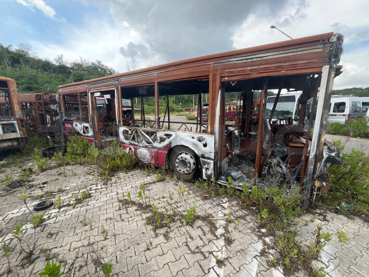 Bundle di 11 mezzi Iveco - Citelis Iveco - Citelis Mercedes-Benz - EVOBUS O530NU Irisbus - 491E Mercedes-Benz - EVOBUS O530NU Mercedes-Benz - EVOBUS O530NU Irisbus - 491E Mercedes-Benz - EVOBUS O530NU - Linienbus: das Bild 3 Bundle di 11 mezzi Iveco - Citelis Iveco - Citelis Mercedes-Benz - EVOBUS O530NU Irisbus - 491E Mercedes-Benz - EVOBUS O530NU Mercedes-Benz - EVOBUS O530NU Irisbus - 491E Mercedes-Benz - EVOBUS O530NU - Linienbus: das Bild 3