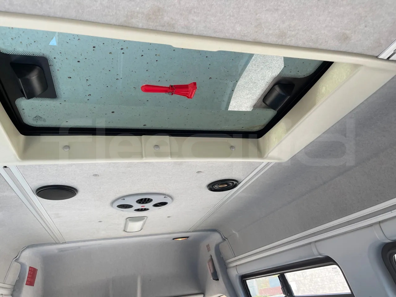 Schulbus Iveco Daily: das Bild 20